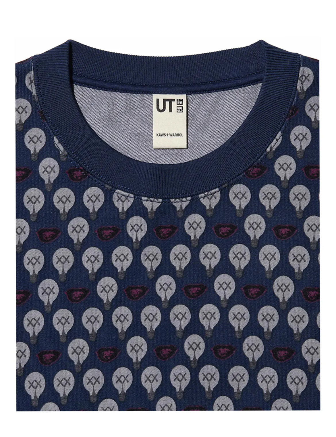 Kaws x Warhol Sweatshirt Navy