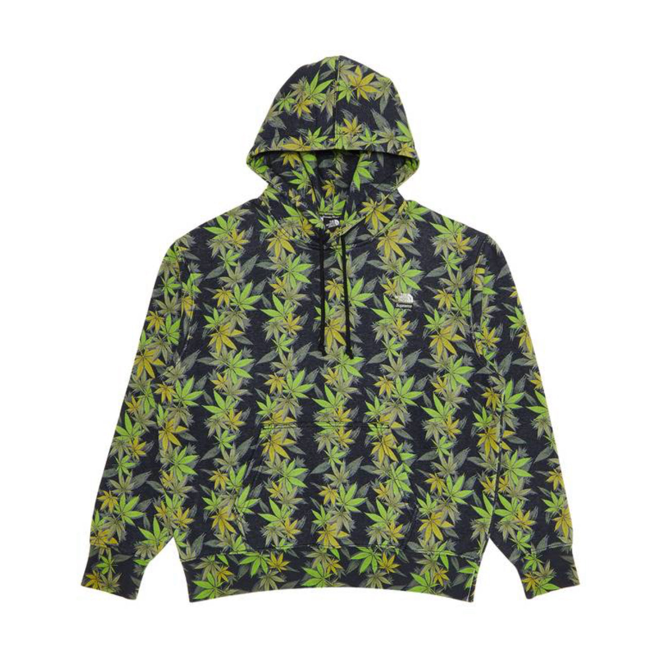 Sudadera con capucha Supreme x The North Face Leaf “Negro”