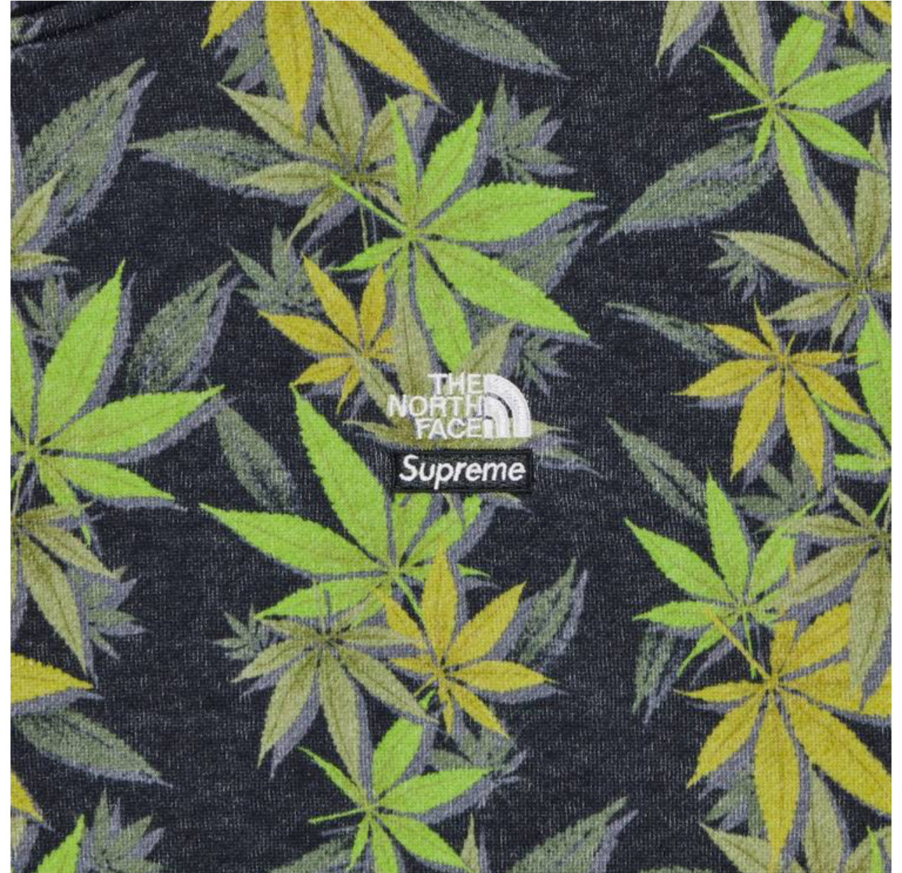 Sudadera con capucha Supreme x The North Face Leaf “Negro”
